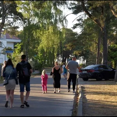 Modrzewiowa Z 1 Sypialnia Appartement