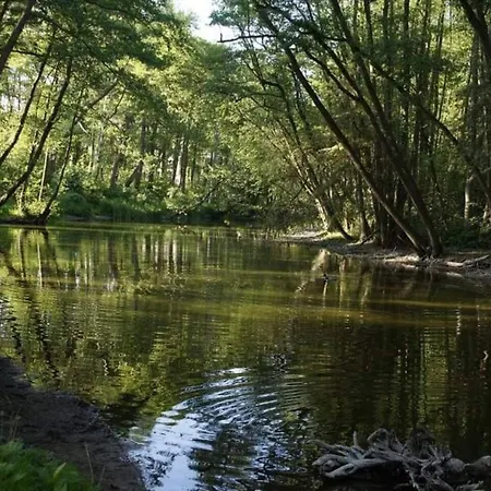 Modrzewiowa Z 1 Sypialnia Appartement