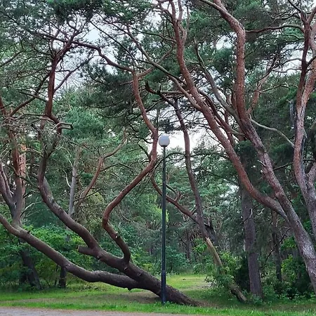 Modrzewiowa Z 1 Sypialnia Appartement *